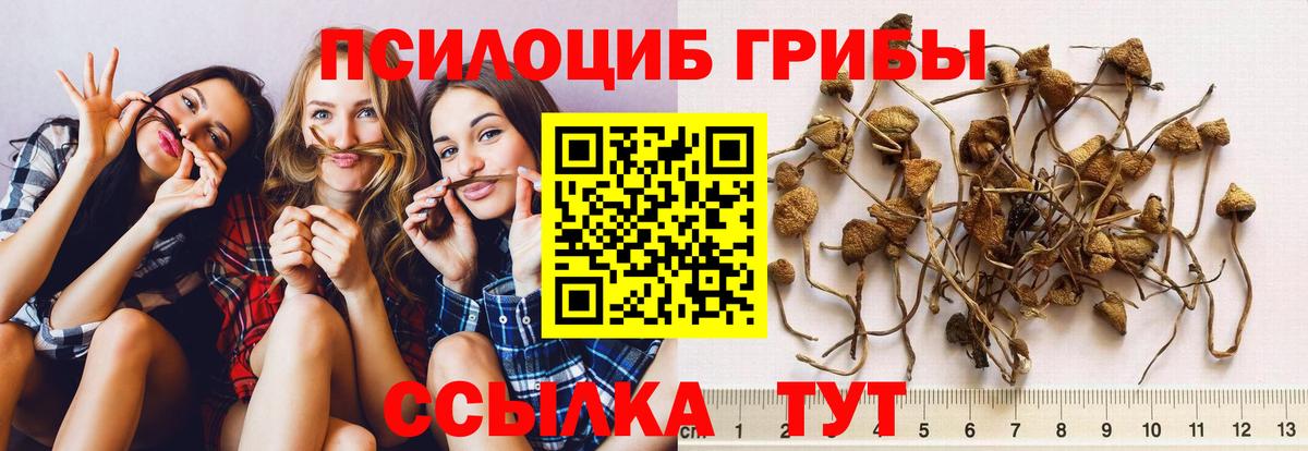 Каспийск  Псилоцибиновые грибы MAGIC MUSHROOMS  Вход с VPN 