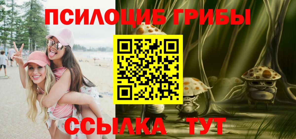 Галлюциногенные грибы мицелий Каспийск